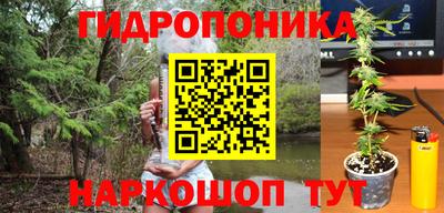тгк Анжеро-Судженск