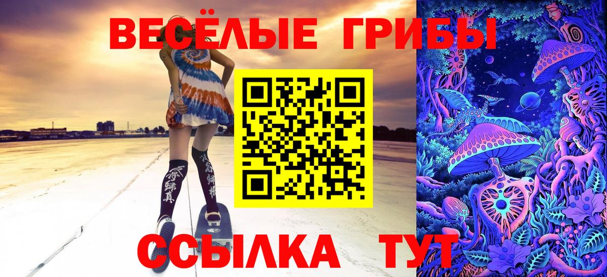 Боровичи  Псилоцибиновые грибы мицелий  Вход с VPN 